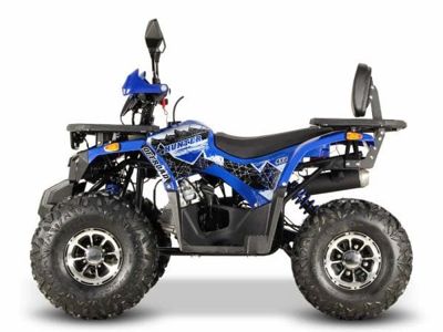 купить Квадроцикл GRIZZLY Aerox 125 в Москве - фото 