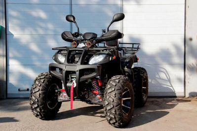 купить Квадроцикл GRIZZLY 250 в Москве - фото 