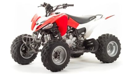 Квадроцикл MOTOLAND 125S (2020 Г.) в Москве