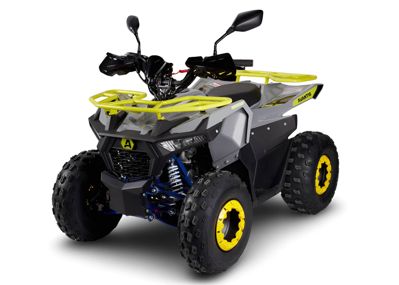 Квадроцикл AVANTIS Ray 8 Lux в Москве