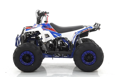 купить Квадроцикл MOTAX Grizlik A110 в Москве - фото 