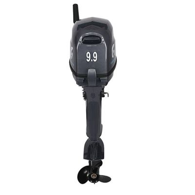 купить 2х-тактный лодочный мотор ALLFA CG T9.9 MAX в Москве - фото 