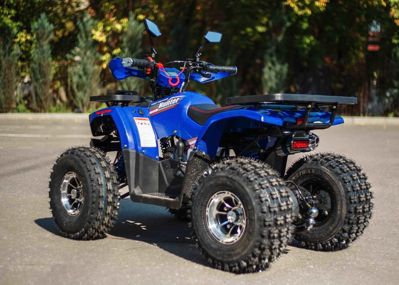 купить Квадроцикл AVANTIS Hunter 8 New Premium в Москве - фото 