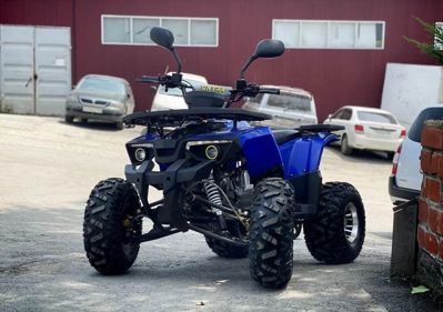 купить Квадроцикл TIGER Extra 175cc (2024) в Москве - фото 