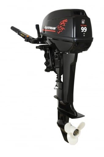 2х-тактный лодочный мотор GOLFSTREAM T 9.9 BMS в Москве