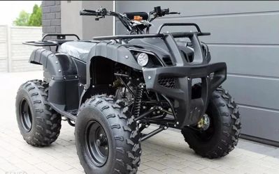 купить Квадроцикл TIGER Opti 150 (2024) в Москве - фото 