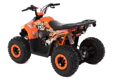 купить Квадроцикл SHARMAX Cross 150 (2024) в Москве - фото 