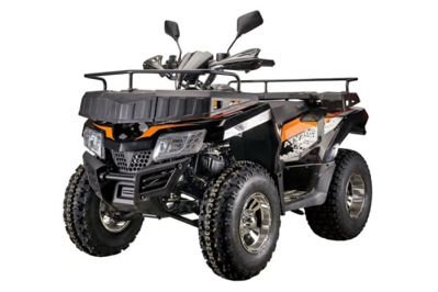 Квадроцикл RATO 200 LD LUXE в Москве