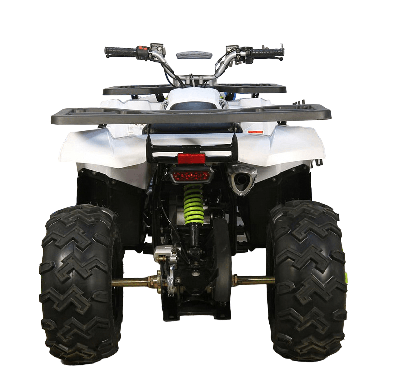 купить Квадроцикл AVANTIS H200 NEW (Баланс. вал) в Москве - фото 