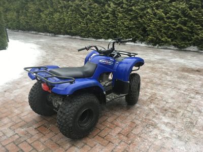 купить Квадроцикл GRIZZLY 125 в Москве - фото 
