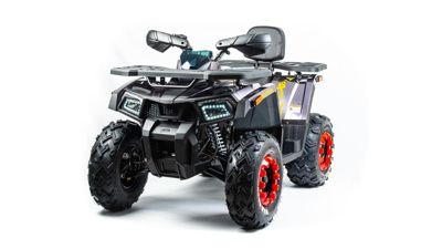 купить Квадроцикл MOTOLAND 200 Wild Track X Pro (2022) в Москве - фото 