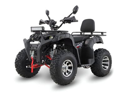 Квадроцикл GRIZZLY 200 Premium в Москве