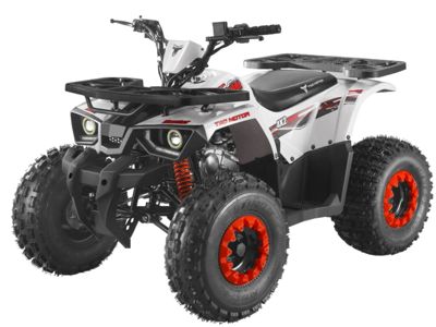 Квадроцикл TAO MOTOR Hunter 125 в Москве