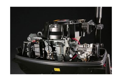 купить 2х-тактный лодочный мотор SUZUKI DT30S в Москве - фото 