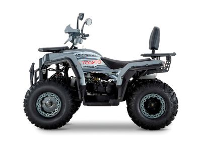 купить Квадроцикл YACOTA Viking 200 в Москве - фото 