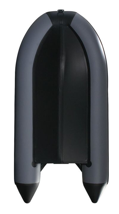 купить Лодка ПВХ PROFMARINE PM 370 CL в Москве - фото 