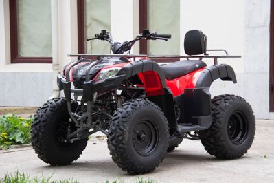 купить Квадроцикл UNIVERSAL Bull 200 в Москве - фото 