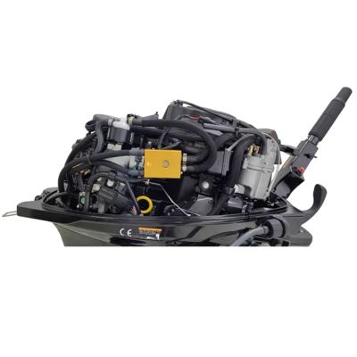 купить 4х-тактный лодочный мотор PARSUN F9.9ABMS-EFI в Москве - фото 