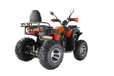 купить Квадроцикл YACOTA Sela 200 Max в Москве - фото 