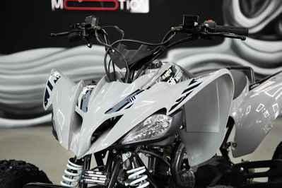 купить Квадроцикл SHARMAX Raizer Race Cup 250 в Москве - фото 