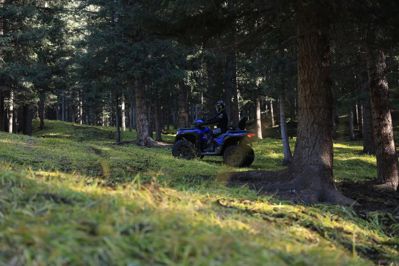 купить Квадроцикл LONCIN Xwolf 1000 (ПСМ) в Москве - фото 