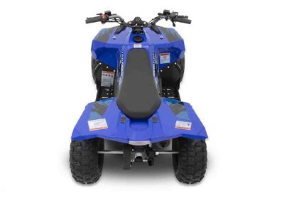 купить Квадроцикл SHARMAX Cross 200 (2024) в Москве - фото 