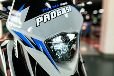 купить Мотоцикл кроссовый эндуро ПРОГАСИ Palma 300 в Москве - фото 