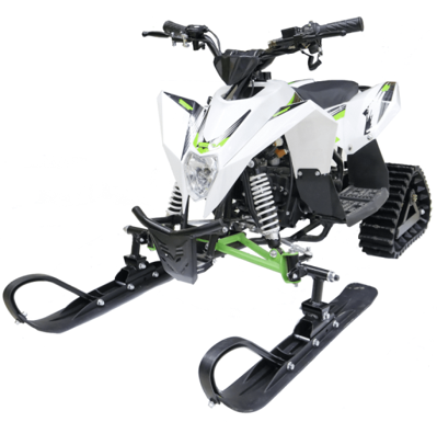 Снегоход MOTAX Gekkon в Москве