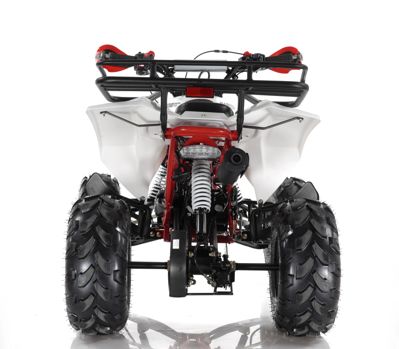 купить Квадроцикл MOTAX ATV Raptor Super LUX 125 cc в Москве - фото 