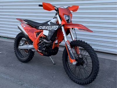 купить Мотоцикл GURUENDURO NB300X ENDURO в Москве - фото 