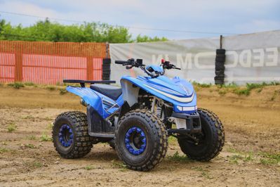 купить Квадроцикл SHARMAX Cross 180 RX в Москве - фото 