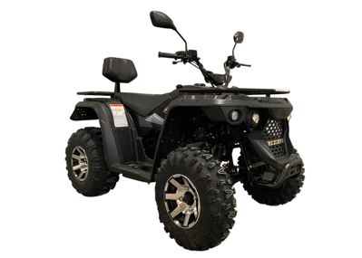 купить Квадроцикл LINHAI-YAMAHA M170 в Москве - фото 