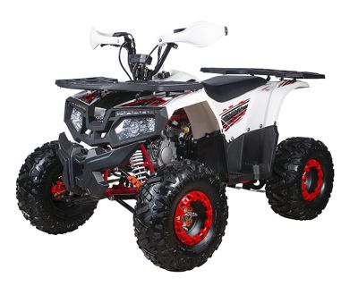 купить Квадроцикл YACOTA Fusion 125 PRO в Москве - фото 