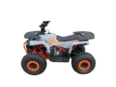 купить Квадроцикл MOTORHEAD Starstruck 125 в Москве - фото 