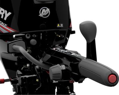 купить 4х-тактный лодочный мотор MERCURY ME F 15 EH EFI в Москве - фото 