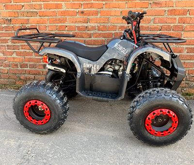 купить Квадроцикл MOWGLI Simple 8+ в Москве - фото 