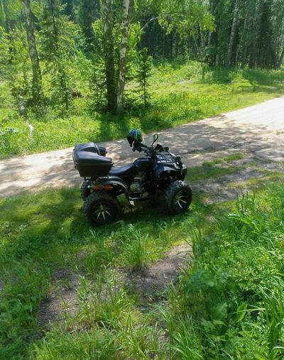 купить Квадроцикл GRIZZLY 250 Б/У в Москве - фото 