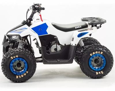 купить Квадроцикл MZ Eagle 110 в Москве - фото 