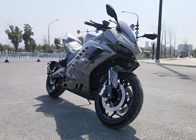 купить Электромотоцикл LONGZU Panigale S Pro в Москве - фото 