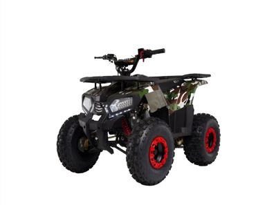 купить Квадроцикл WELS 125 thunder E2 в Москве - фото 