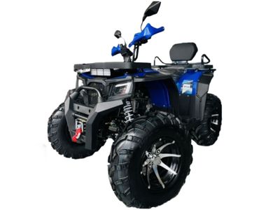 Квадроцикл MOTOLAND 300 Wild Track LUX в Москве