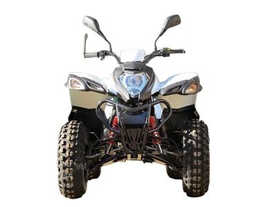 купить Квадроцикл ADLY ATV-150S в Москве - фото 
