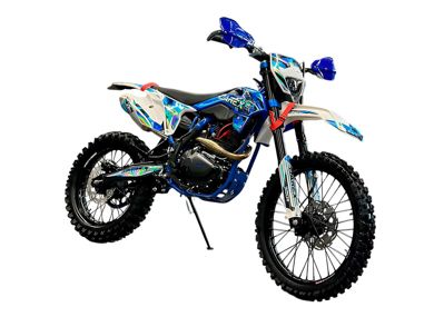 купить Мотоцикл эндуро DAREX Alga 300 S в Москве - фото 