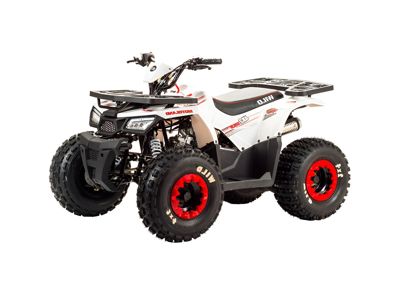 купить Квадроцикл MOTOLAND 125 Wild в Москве - фото 