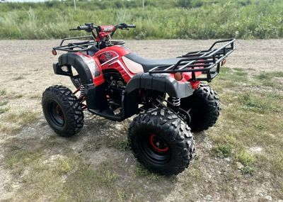 купить Квадроцикл RAPTOR Madman 200 All в Москве - фото 