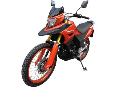 купить Мотоцикл кроссовый эндуро RACER Ranger RC300-GY8 в Москве - фото 