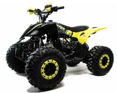 Квадроцикл MOTOLAND ATV RAPTOR A 125 в Москве
