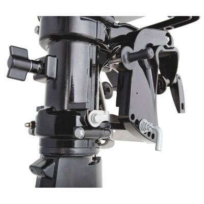 купить 4х-тактный лодочный мотор MERCURY ME F 5M в Москве - фото 