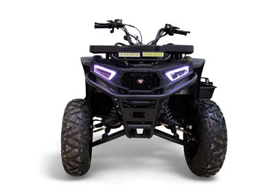 купить Квадроцикл MOTAX Grizlik W200 в Москве - фото 