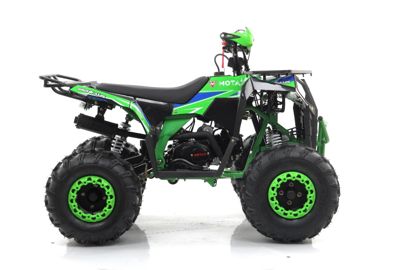 купить Квадроцикл MOTAX Grizlik A125 в Москве - фото 